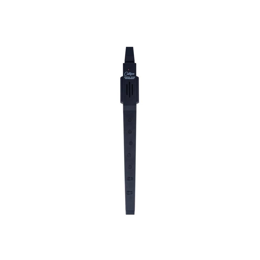 Carry On Digital Wind Instrument Black