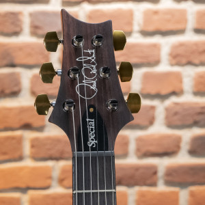 Prs Guitars Special 22 Semihollow 10 Cc Verde Eriza Smokeburst