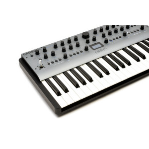 Modal Electronics Carbon8 (37 Keys)
