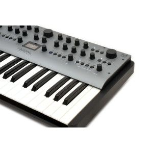 Modal Electronics Carbon8 (37 Keys)