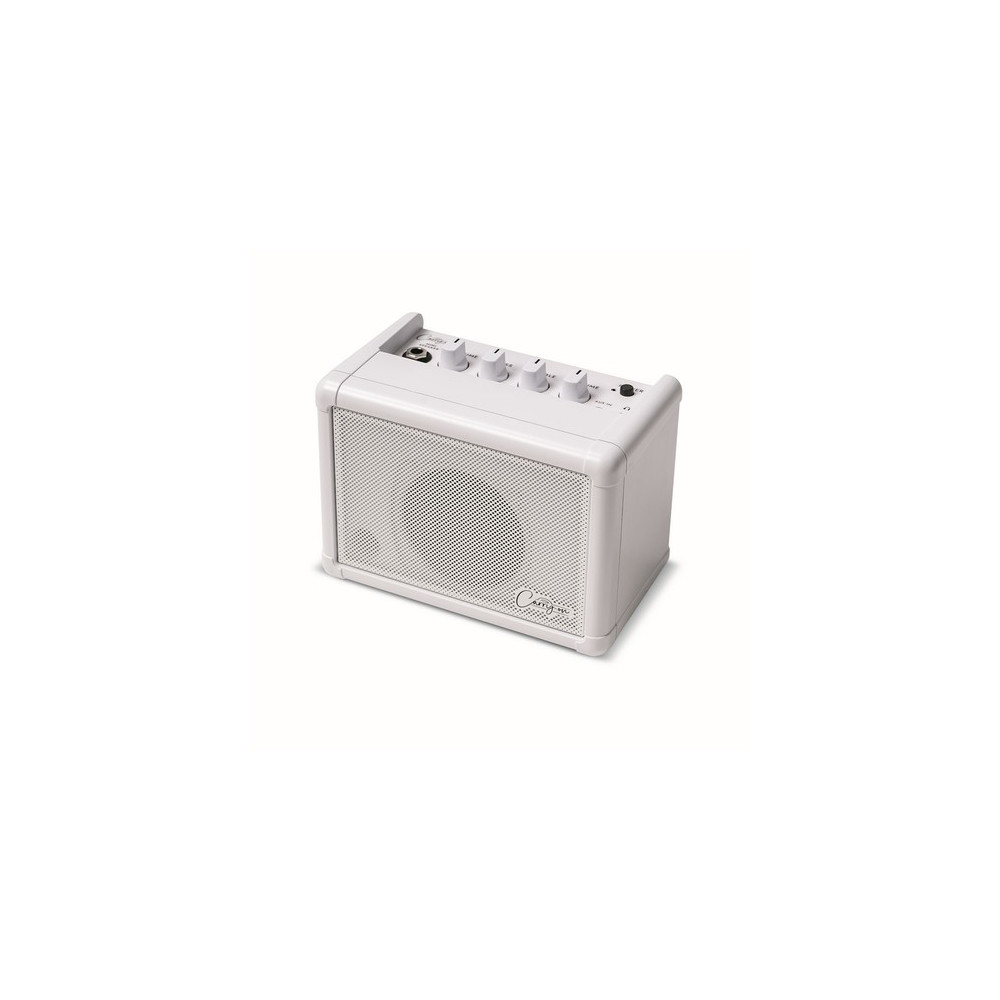 Carry On Co-speaker - Mini altavoz
