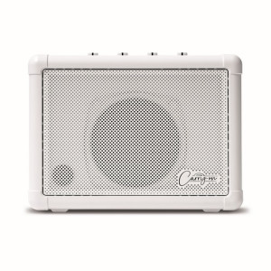 Carry-On Co-Speaker - Mini Speaker