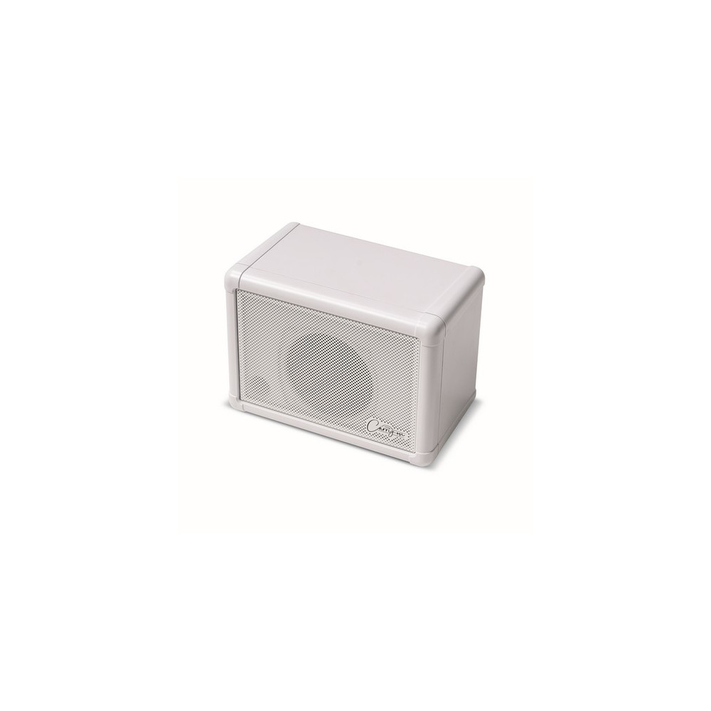 Altavoz de extensión mini Carry On Co-speaker-ext