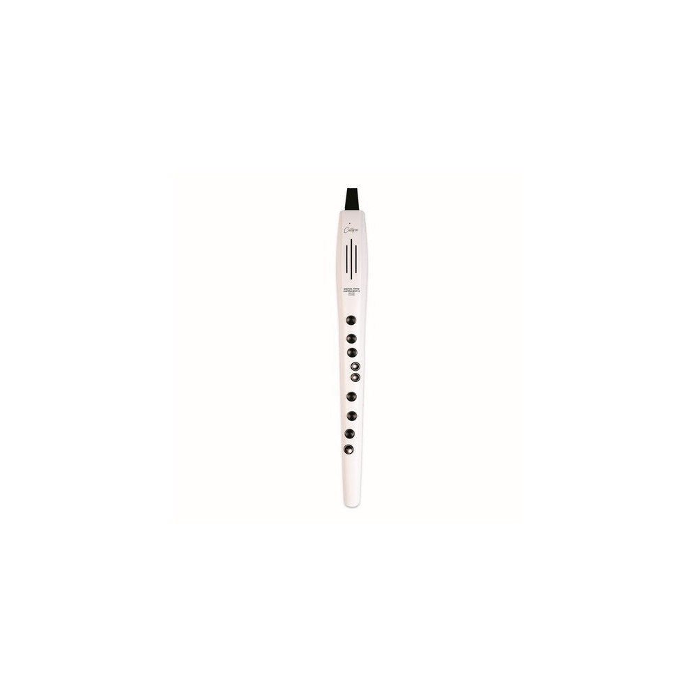 Carry On Co-dwi2plus-wt - Digital Wind Instrument Plus - White