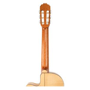 Jose Torres Jtf-30cet