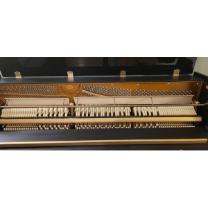 Steiner Upright Piano, Black Lacquer Finish