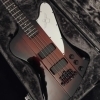 Epiphone Bajo Thunderbird pro IV y estuche