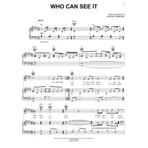 Who Can See It