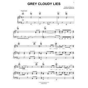 Grey Cloudy Lies