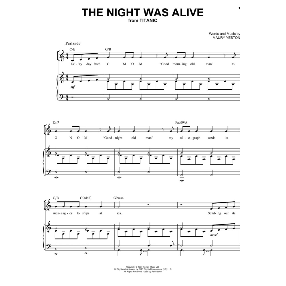 The Night Was Alive