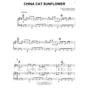 China Cat Sunflower