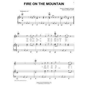 Fire On The Mountain