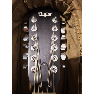 Taylor 150e 12 cuerdas