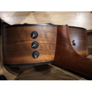 Taylor 150e 12 cordes