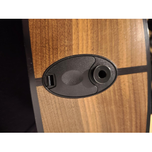 Taylor 150e 12 cordes