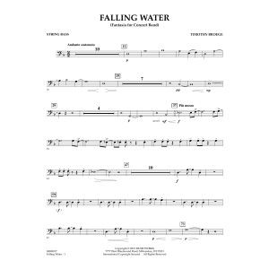 Falling Water - String Bass