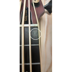 Gold Tone Me-bass