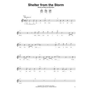 Shelter From The Storm