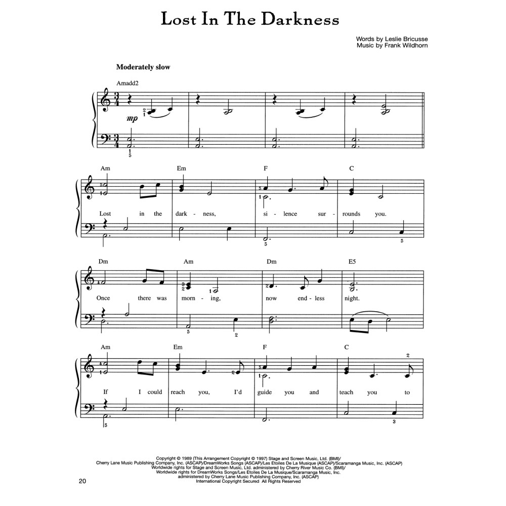 Lost In The Darkness