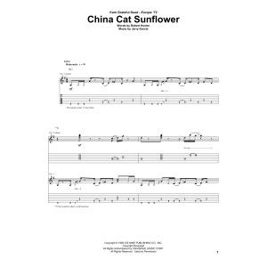 China Cat Sunflower