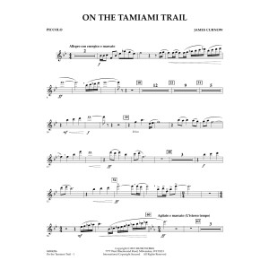 On the Tamiami Trail - Piccolo