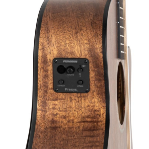 J.n Guitars Dov-acfi