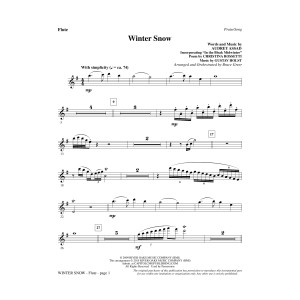 Winter Snow - Flute