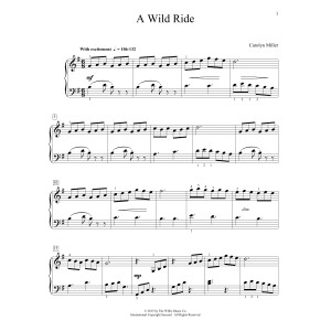 A Wild Ride