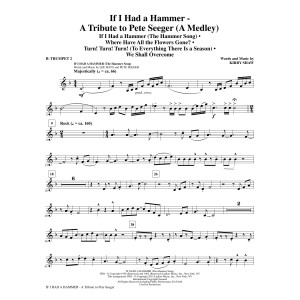If I Had A Hammer - Eine Hommage an Pete Seeger - Bb-Trompete 2