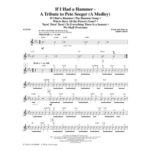 If I Had A Hammer - Eine Hommage an Pete Seeger - Gitarre
