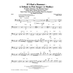 If I Had A Hammer - Eine Hommage an Pete Seeger - Bass