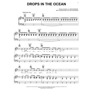 Drops In The Ocean