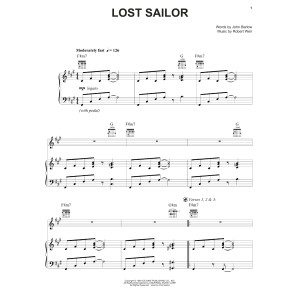 Lost Sailor