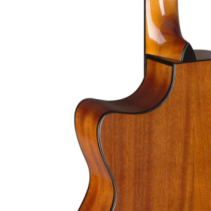 J.n Guitars Bes-ace N