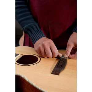 J.n Guitars Asy-a