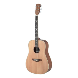J.n Guitars Asy-d Lh