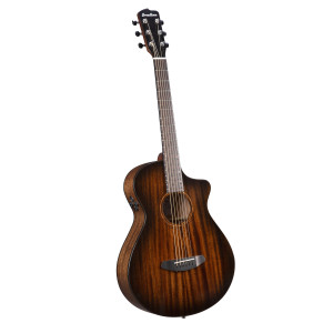 Breedlove Wildwood Pro Concertina Ce