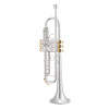 Bb Trumpet Xo 1600is