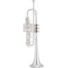 B-Flat Trumpet XO 1624SSS