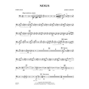Nexus - String Bass
