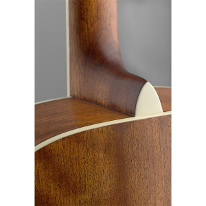 J.n Guitars Asy-d Lh