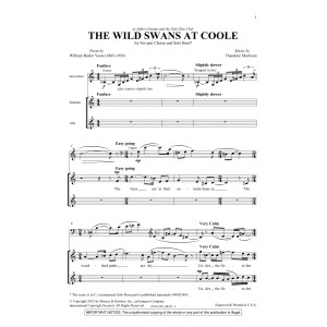 The Wild Swans At Coole