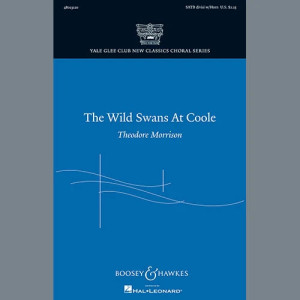 The Wild Swans At Coole