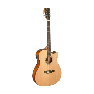 La guitarra J.N. Bes-ace N