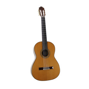 Guitarra Esteve 7sm tapa de abeto con estuche