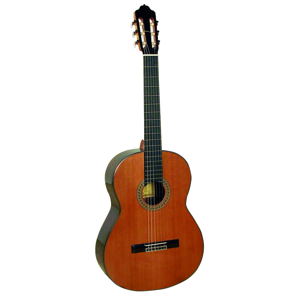 Guitarra Esteve 7sr tapa de cedro con estuche