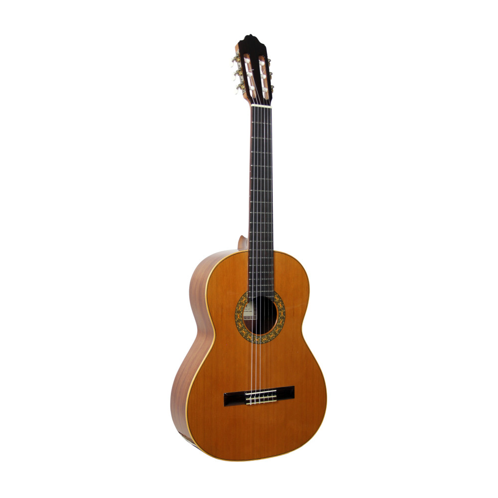 Guitarra Esteve Mod.1 F/e Bubinga