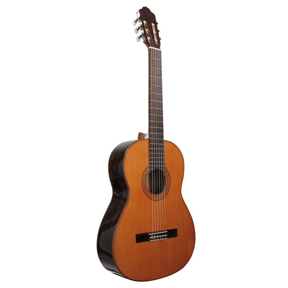 Guitare Esteve 3z F/e Ziricote