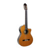 Guitare Esteve 3ce, Pan Coupe