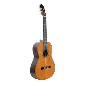Guitare Esteve Mod.3 Table Cedre Bril.